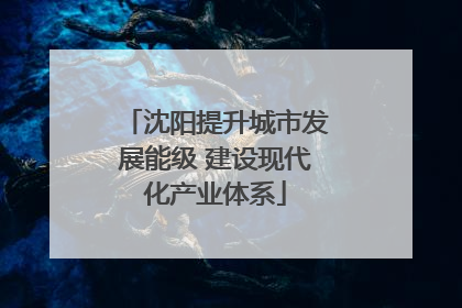 沈阳提升城市发展能级 建设现代化产业体系
